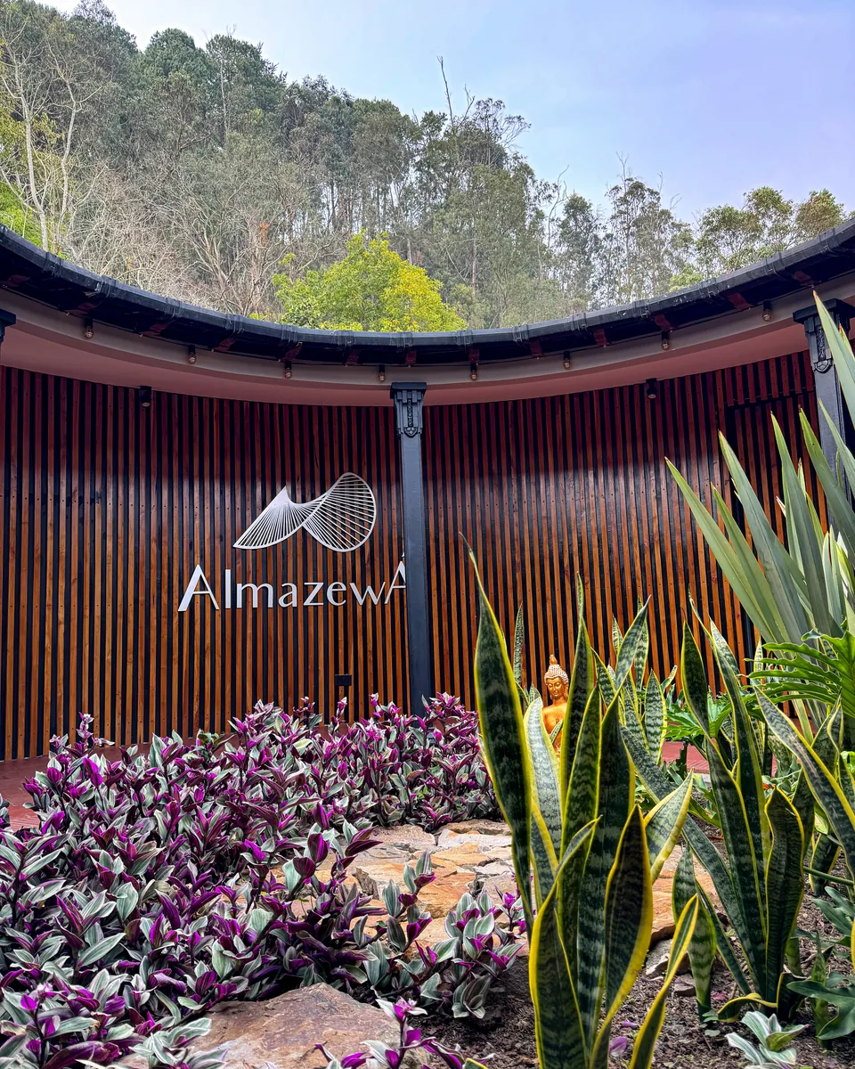 Recepción de AlmazewÁ entre plantas y madera