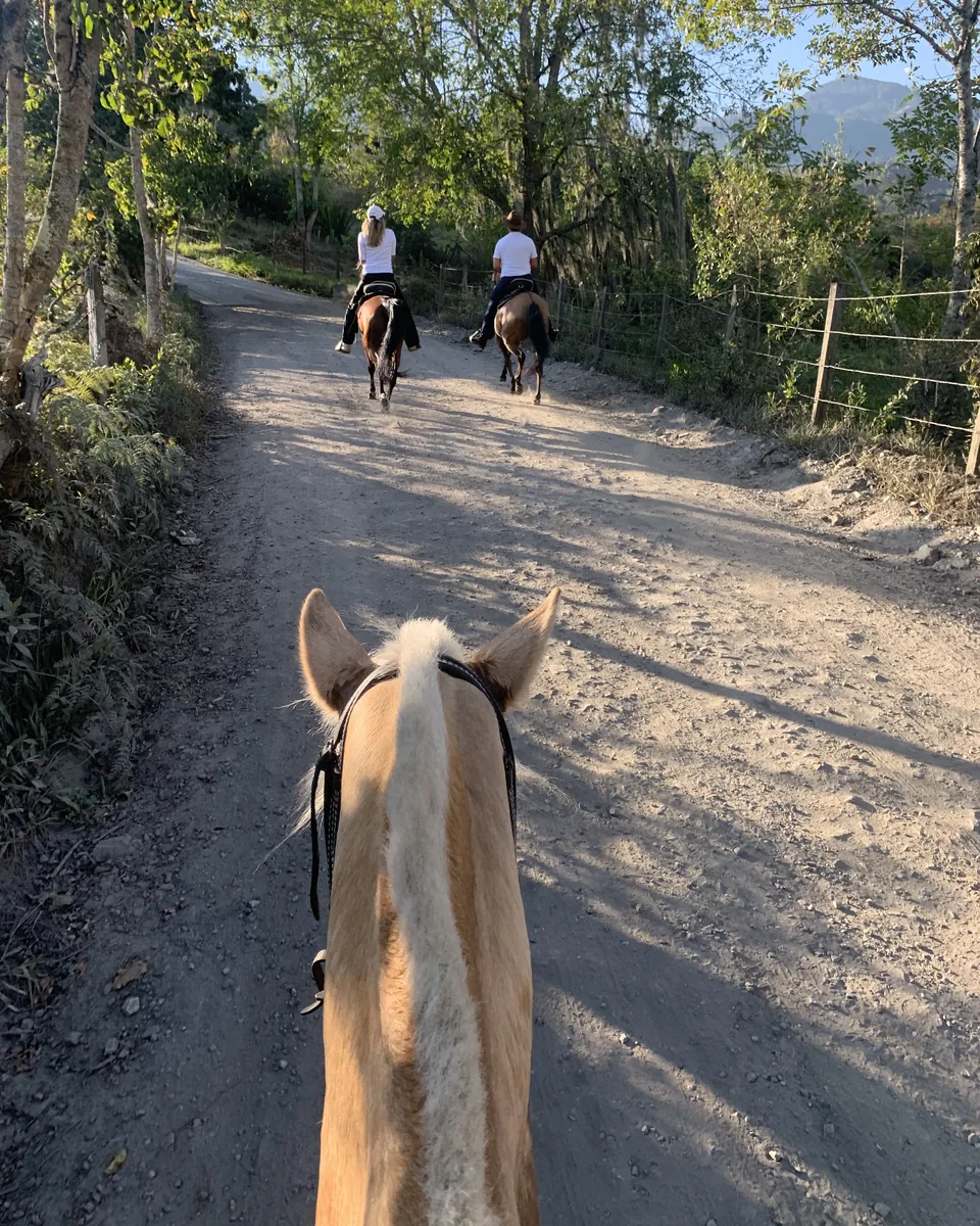 Cabalgata por un camino rural hacia Río Blanco